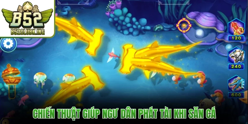 Chiến thuật giúp ngư dân phát tài khi săn cá