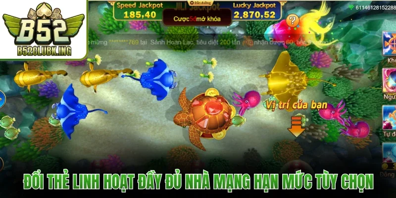 Đổi thẻ linh hoạt đầy đủ nhà mạng hạn mức tùy chọn